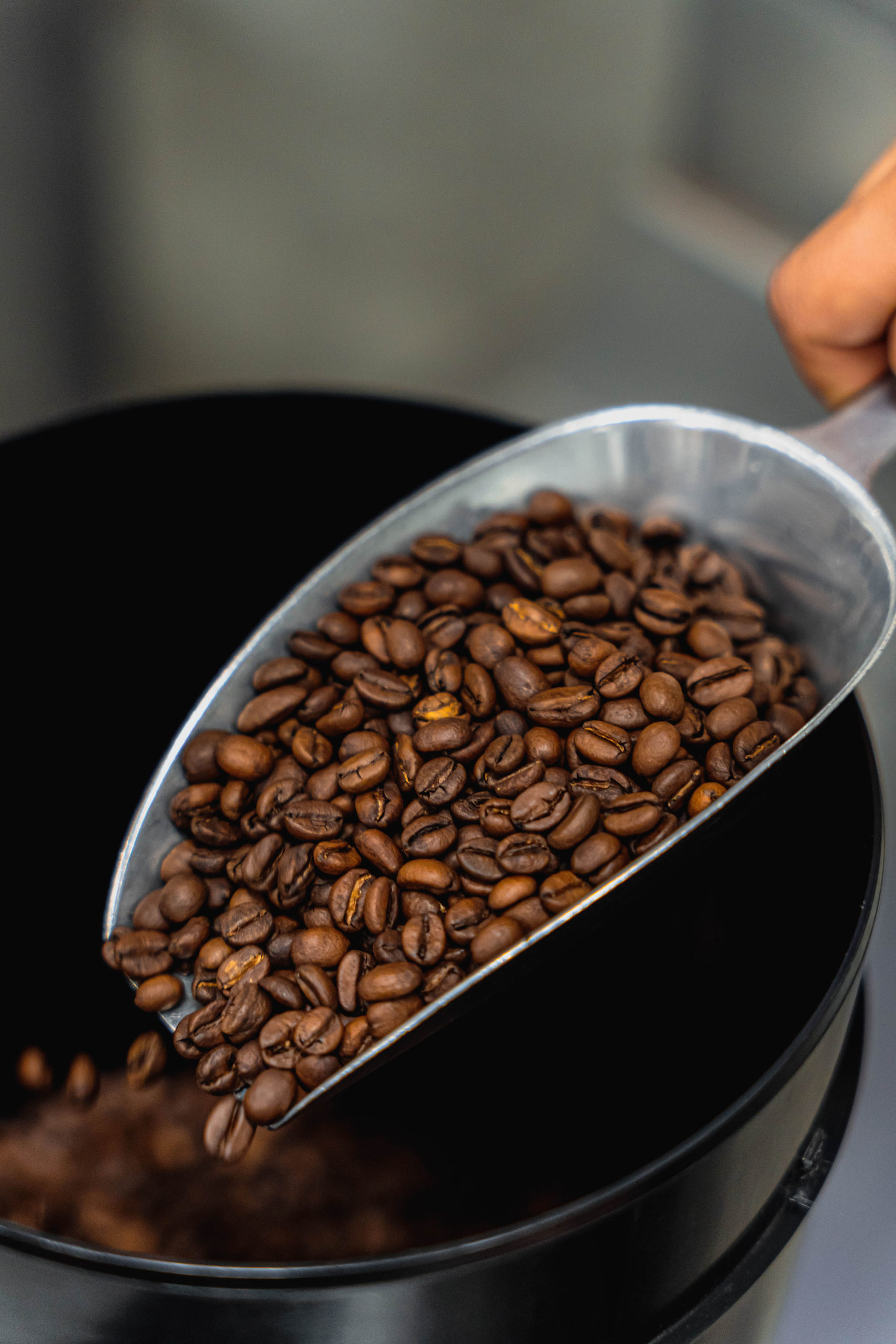 Synergy Blend - Afbeelding 5