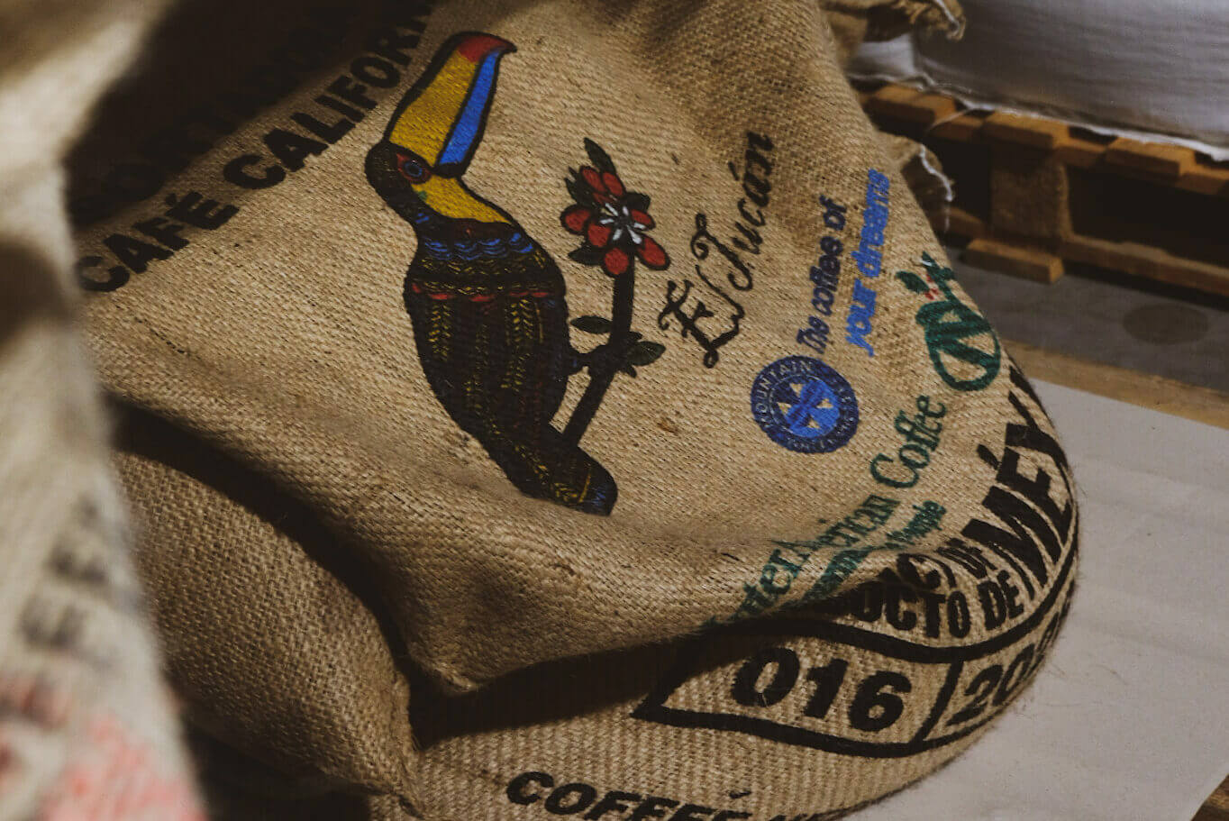 Synergy Blend - Afbeelding 6