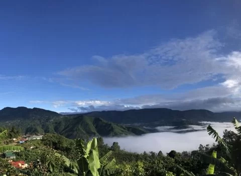 Tico Origins Rubi - Afbeelding 3