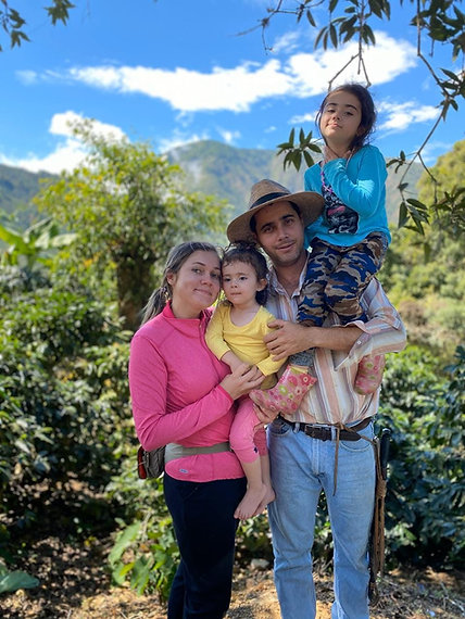 Tico Origins Ambar - Afbeelding 3